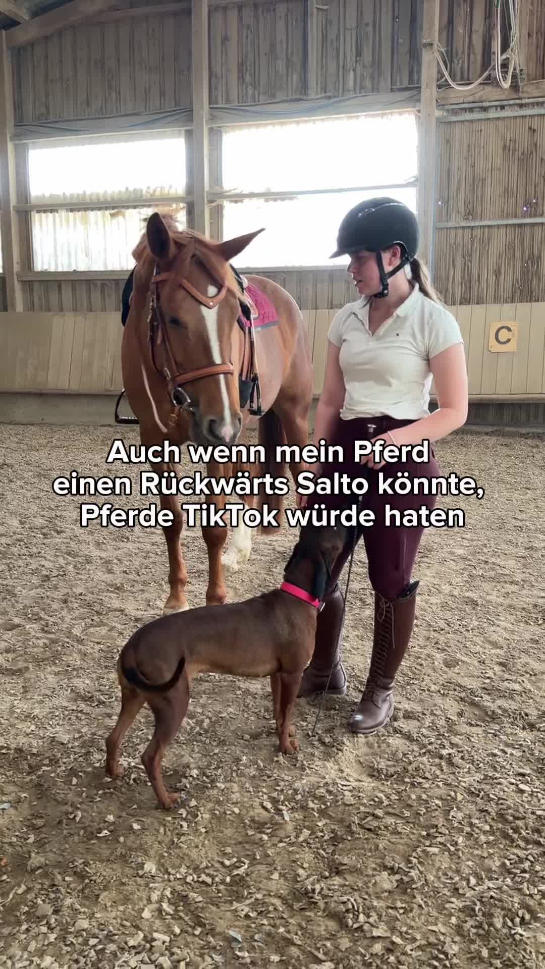 @Letynnxhorses