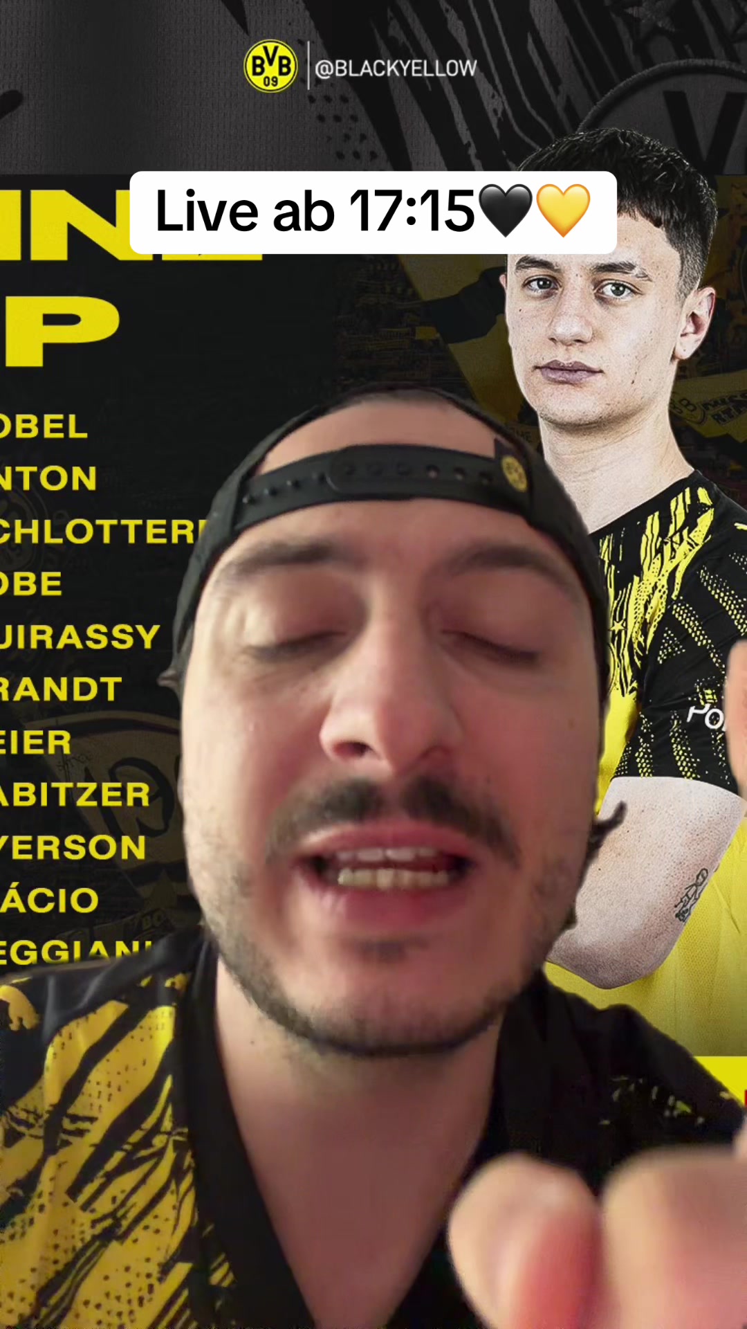 @DeutscherMeister25NurDerBVB💛