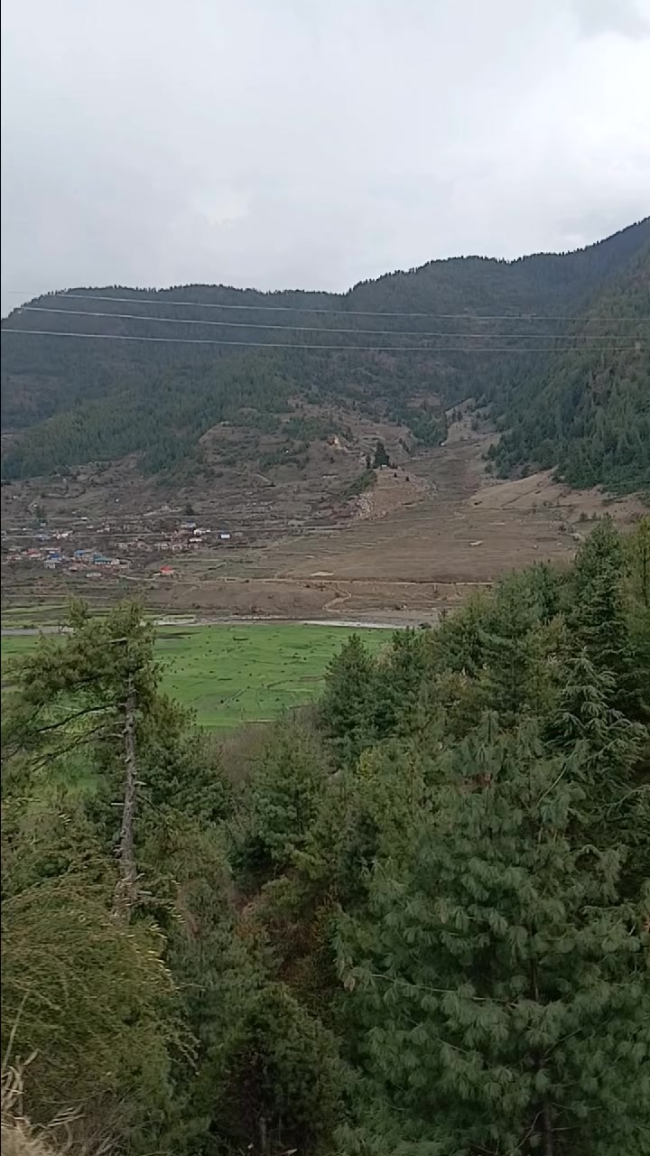 @sanumaya tamang