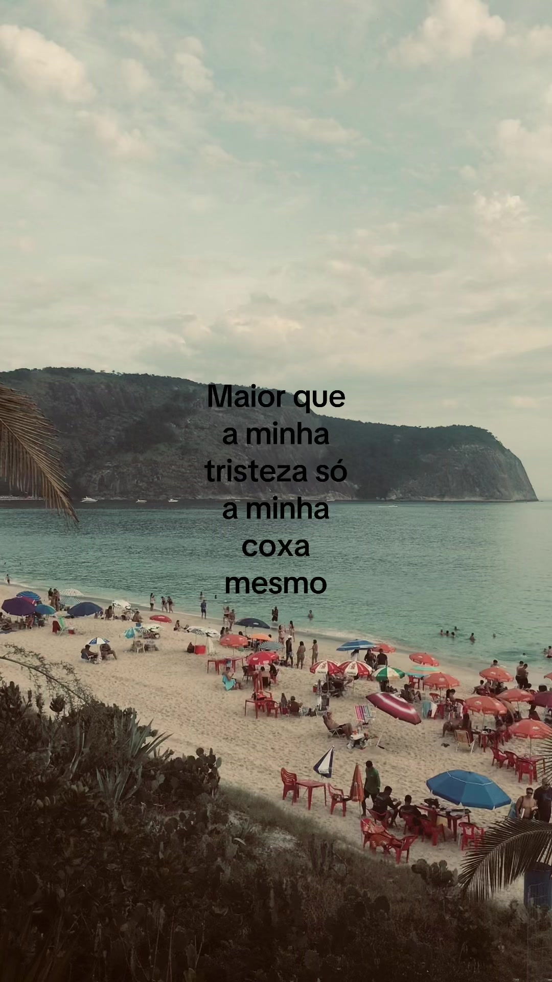 @Usu&aacute;rio confuso☼