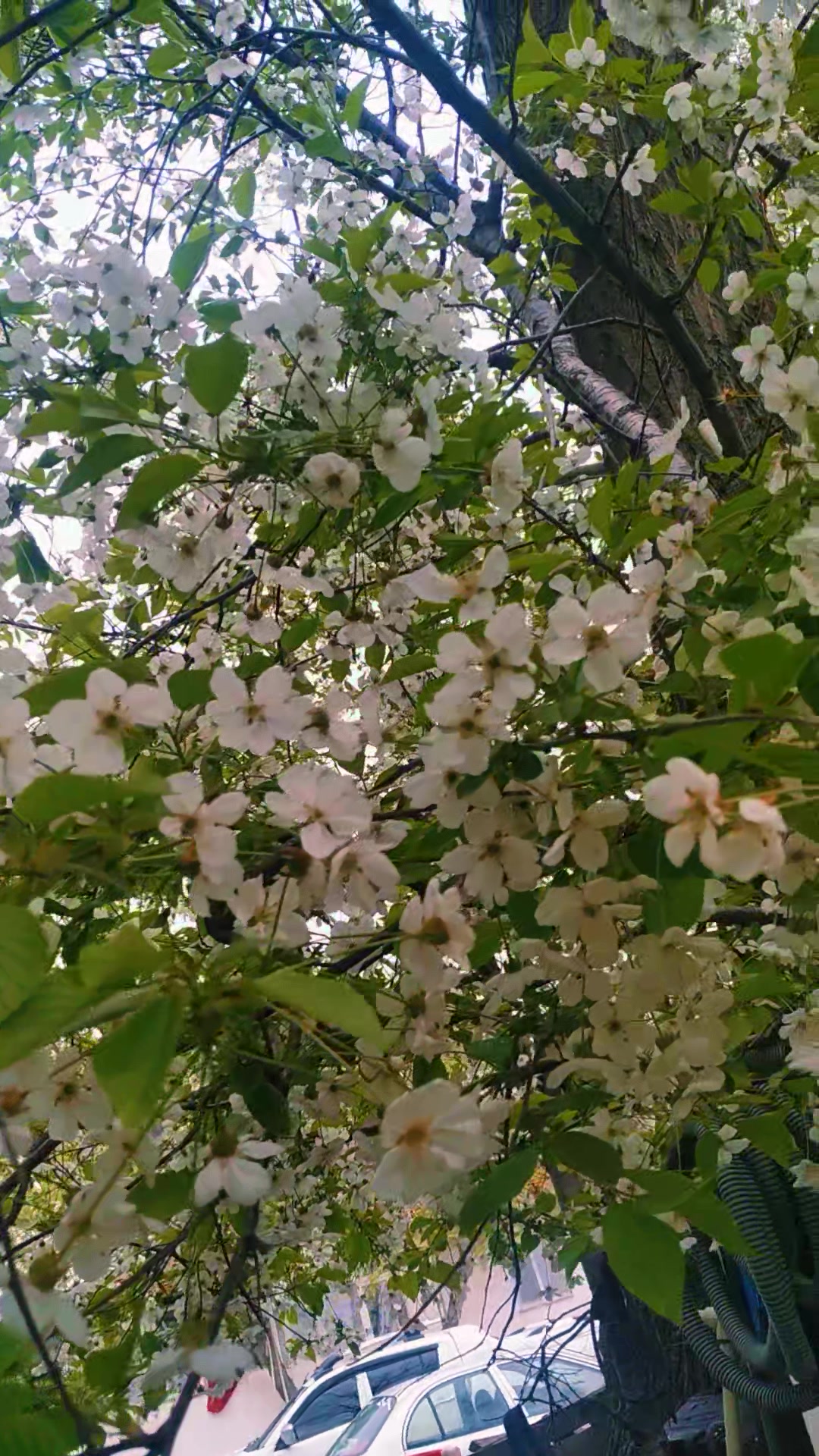 @bilge_c.181818