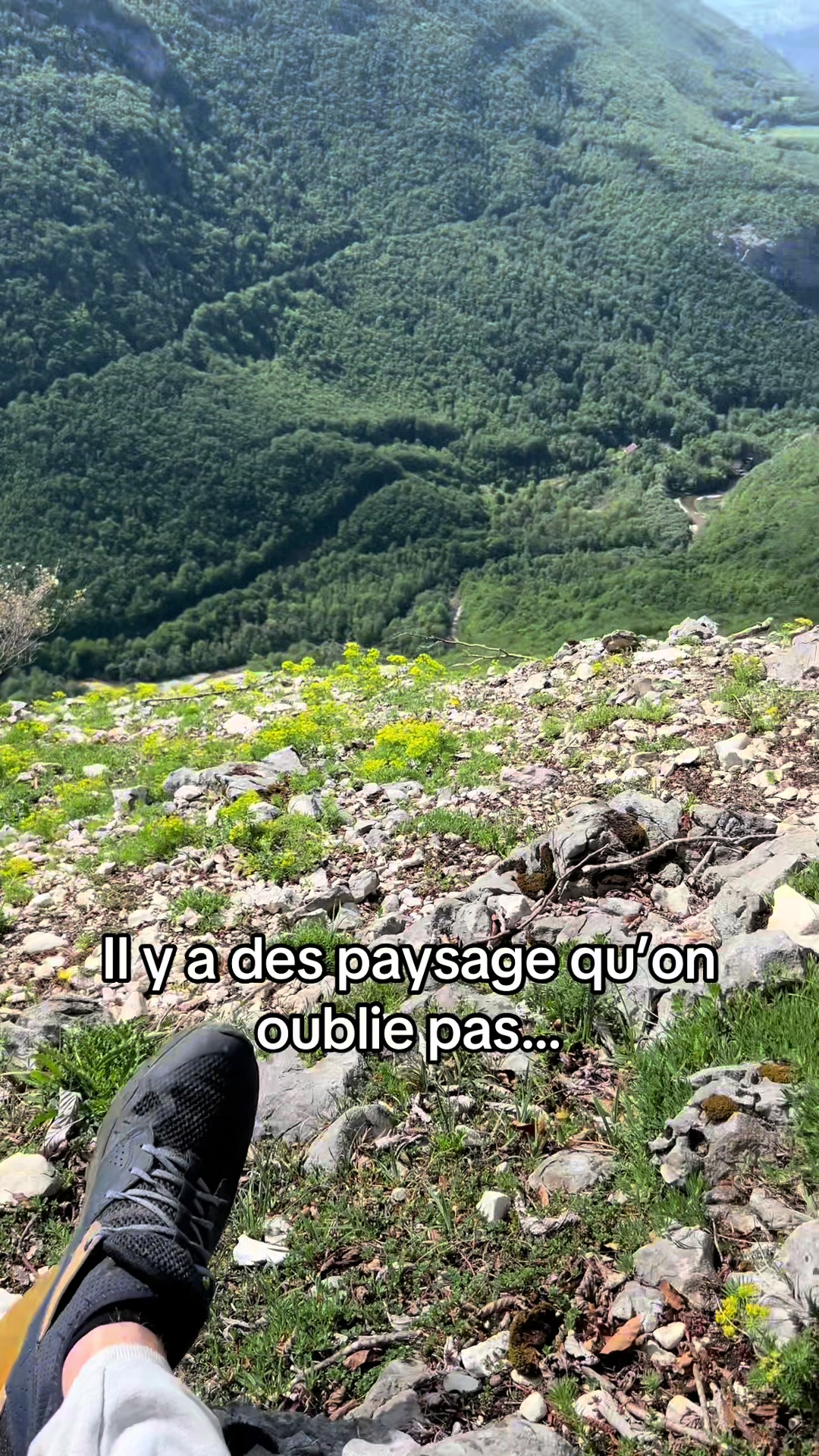 @Le jeune chasseur
