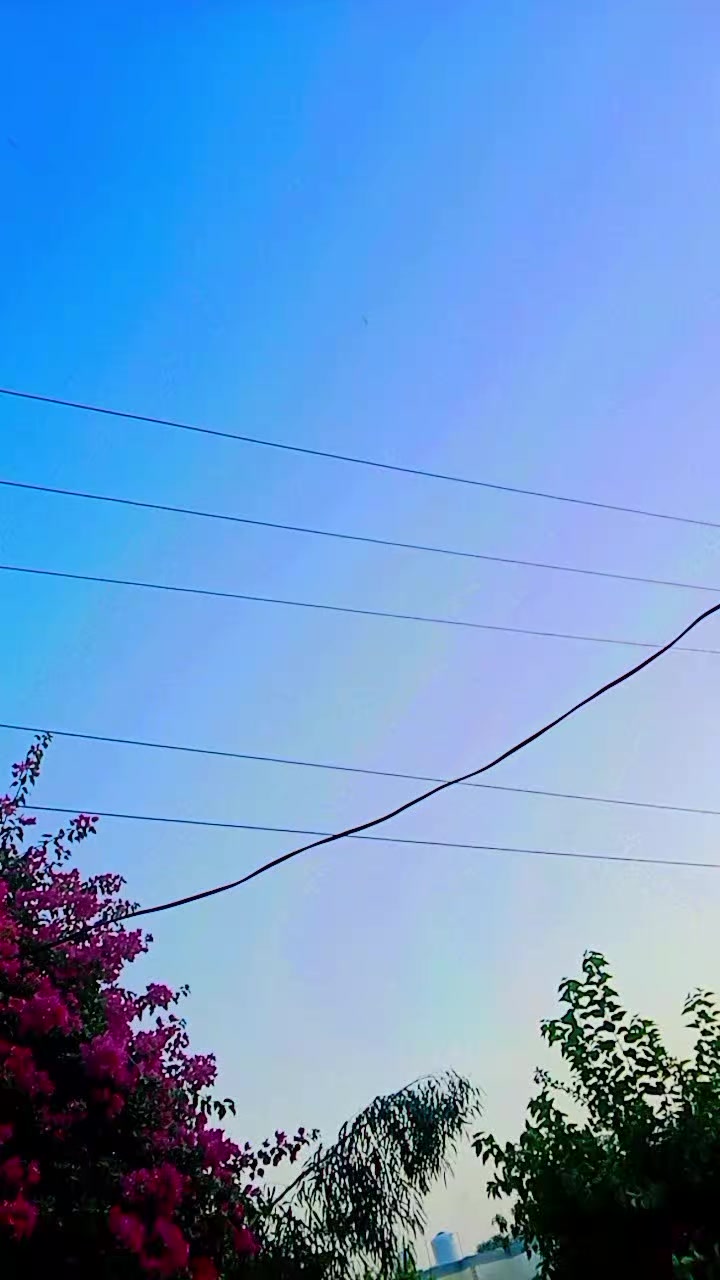 @&tilde;꧁༺Intazar Mehdi༻꧂&tilde;