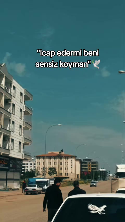 @❤️&zwj;🩹🕊️