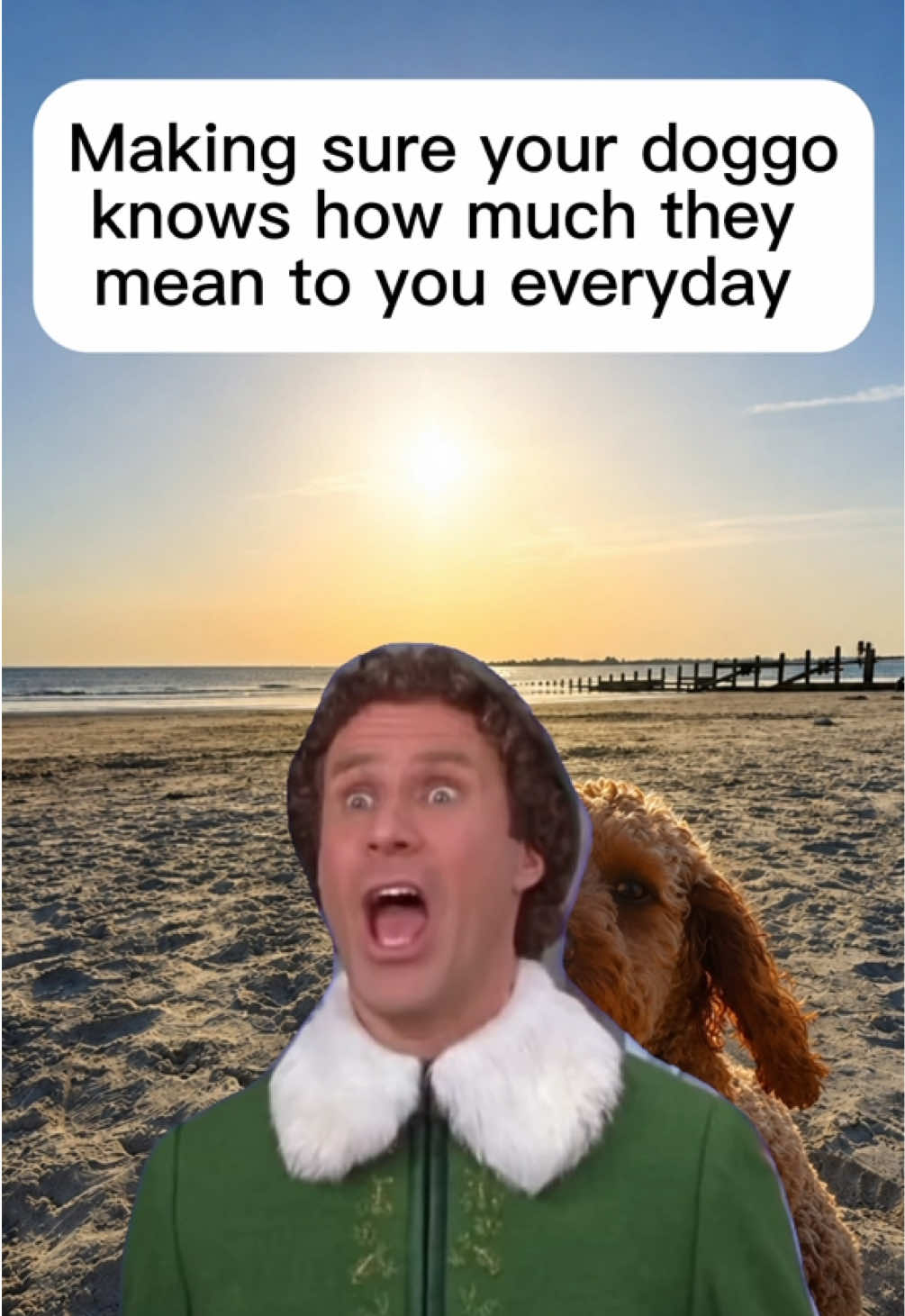 @Cooperpaddington_