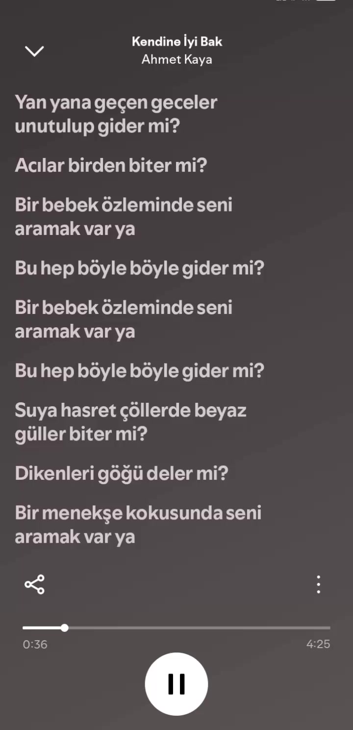 @pro m&uuml;zik
