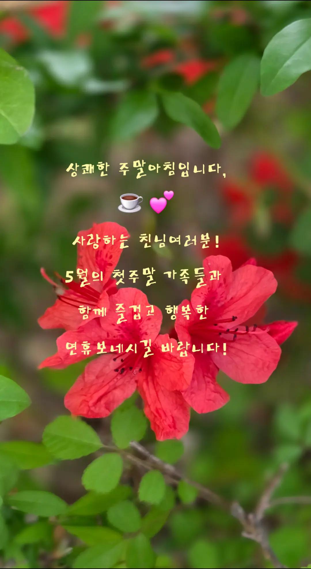 @🫜나리🫜