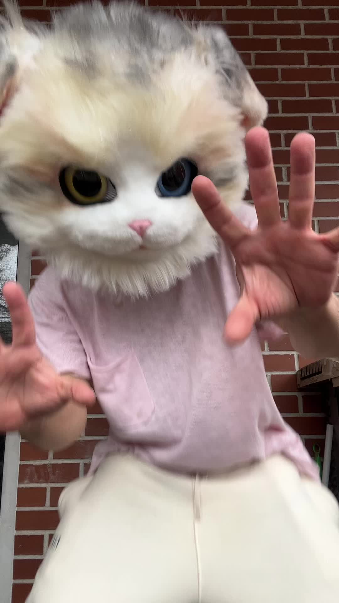 @The CaT 😼