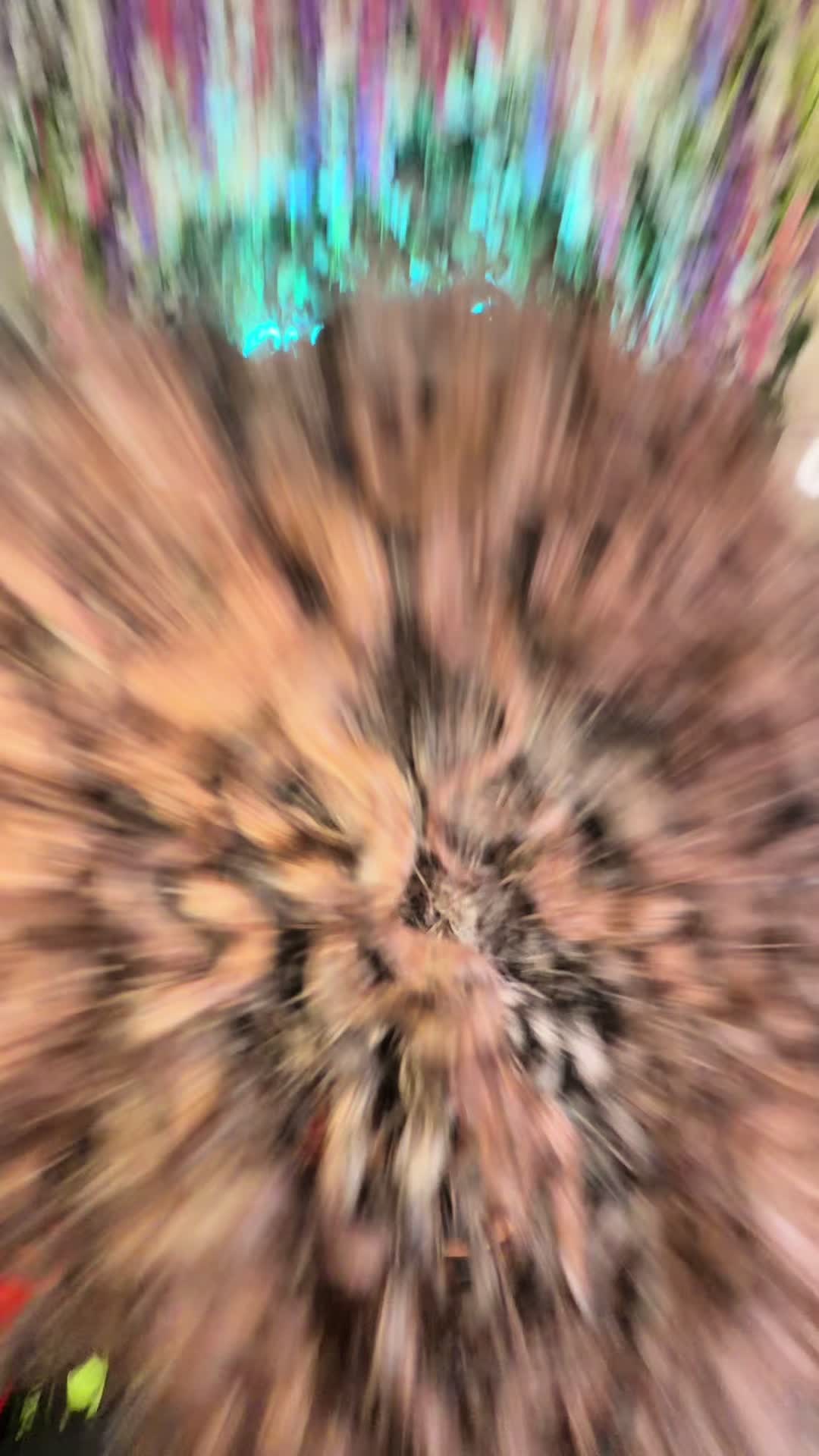 @za.realist