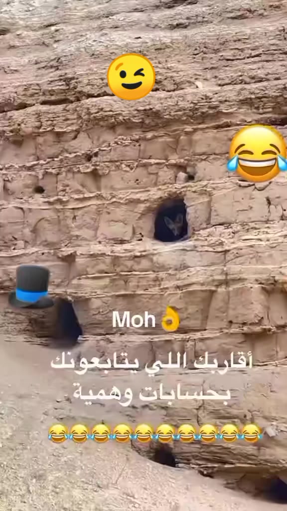 @Moh Mohamed753