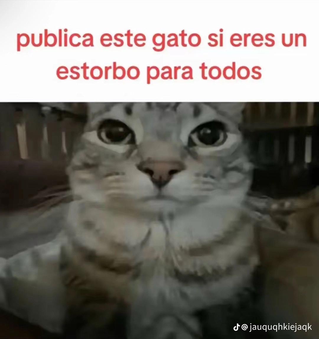 @Jes&uacute;s Auden