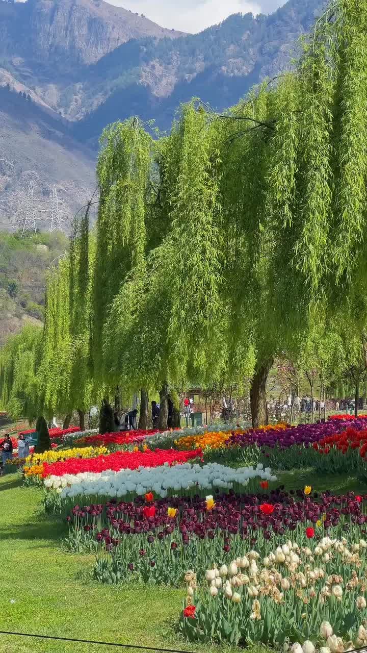 @Nizz Farooqui 786