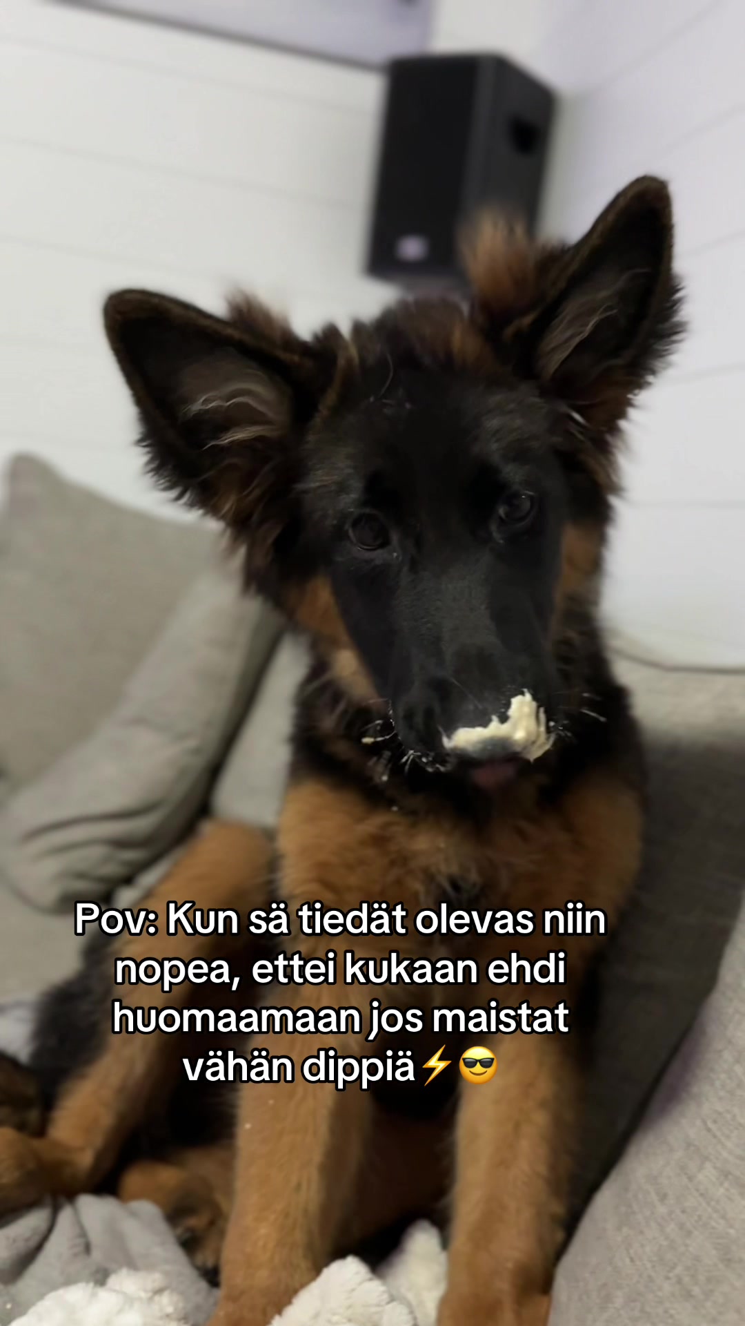 @Jankkux