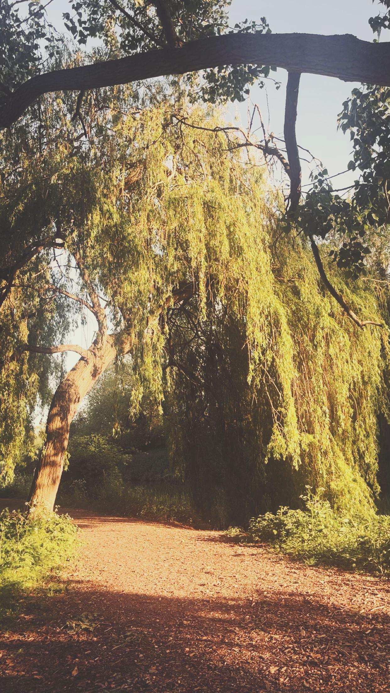 @𝓉ℴ𝓇𝒾&rsquo;𝓈 𝓈𝓅𝒶𝓂 🪽