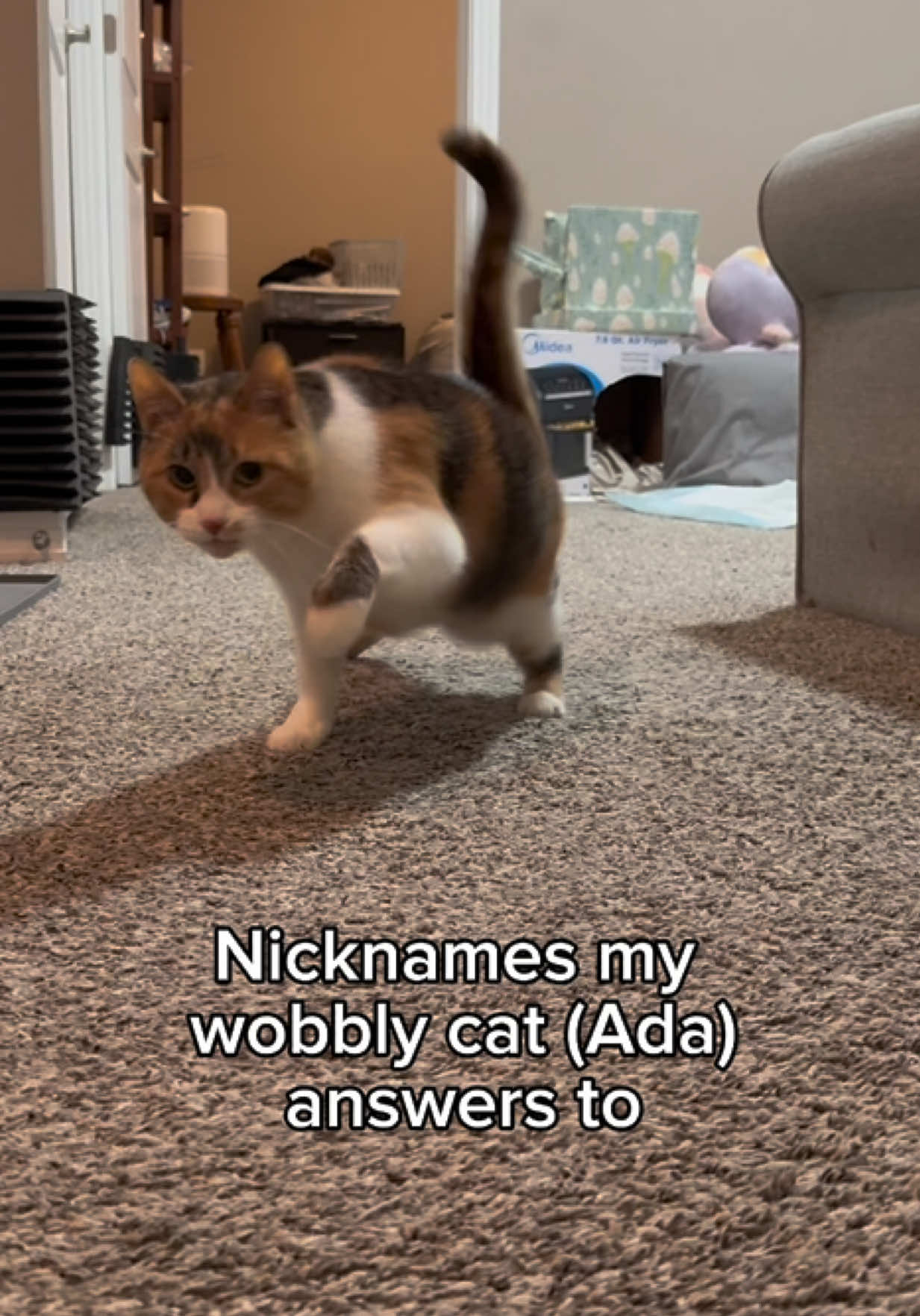 @Ada