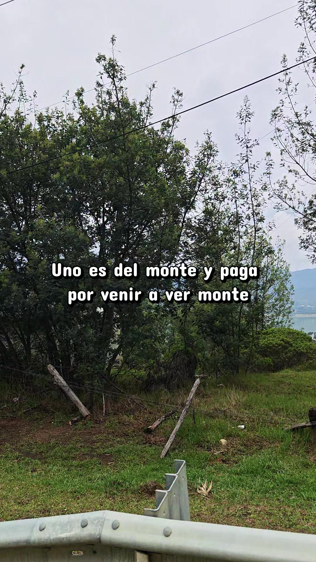 @Marcos Diaz