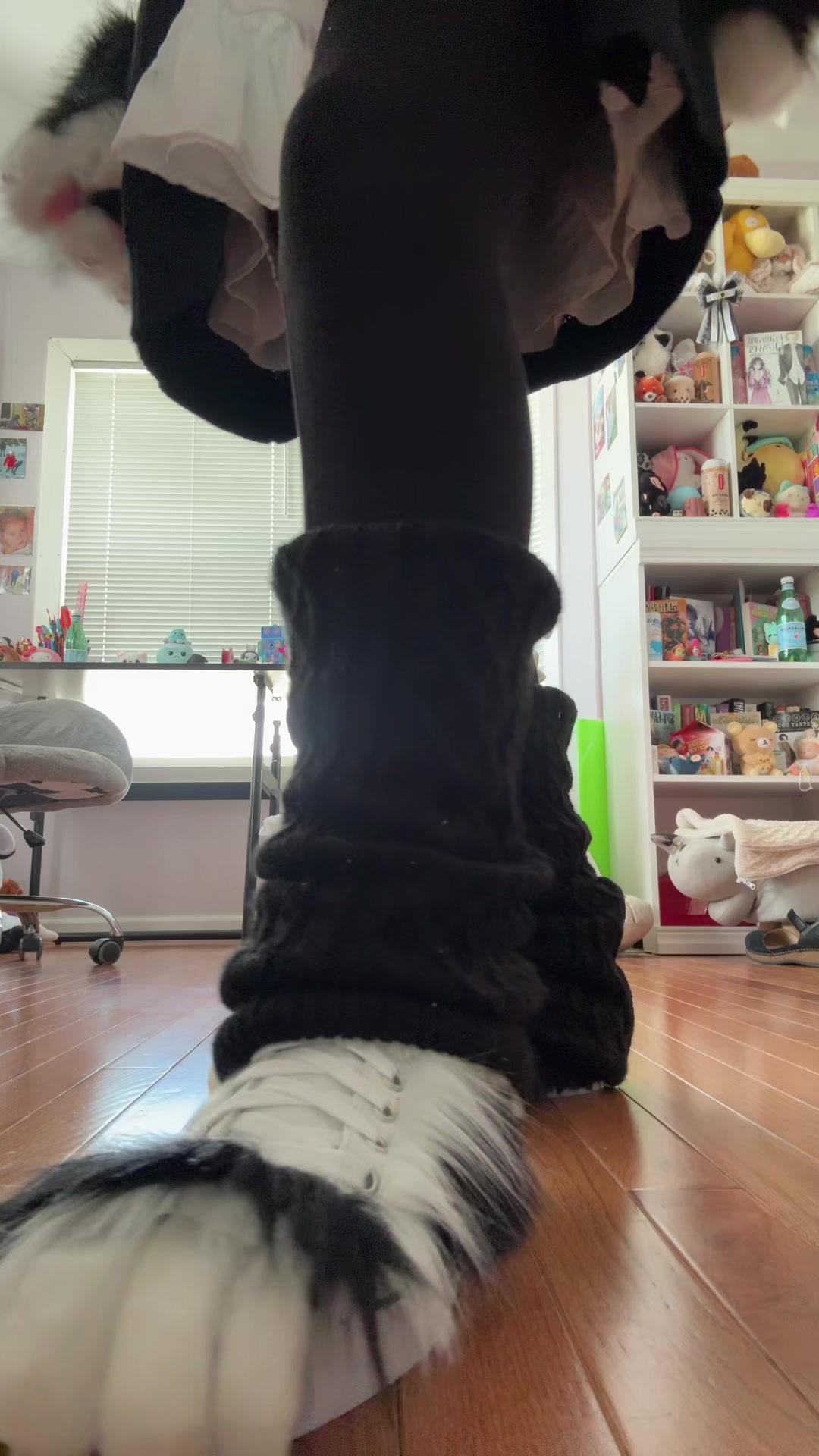 @猫がとても可愛いです。