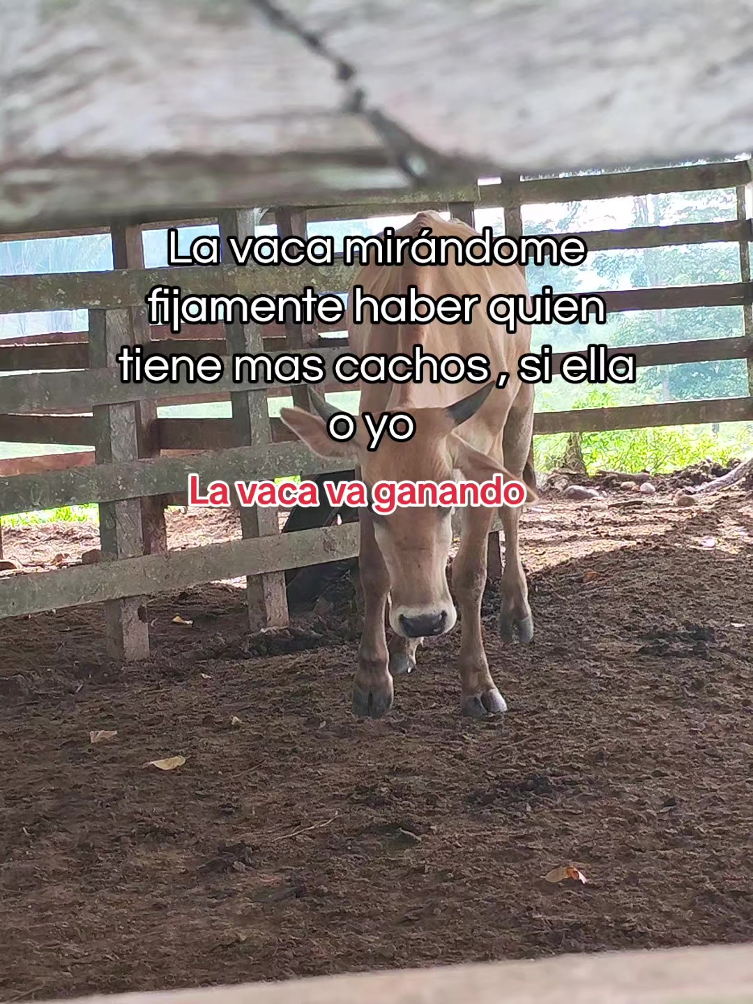 @DULCE MAYTE 💗🙈