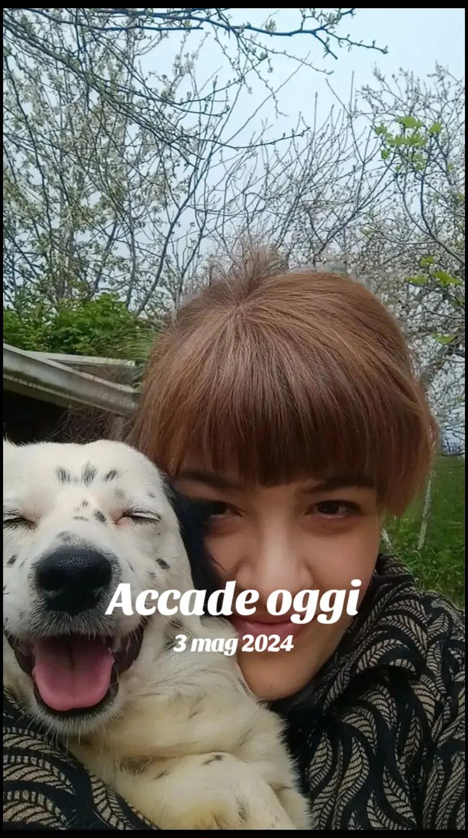 @Amo il lupo  tutti gli animali