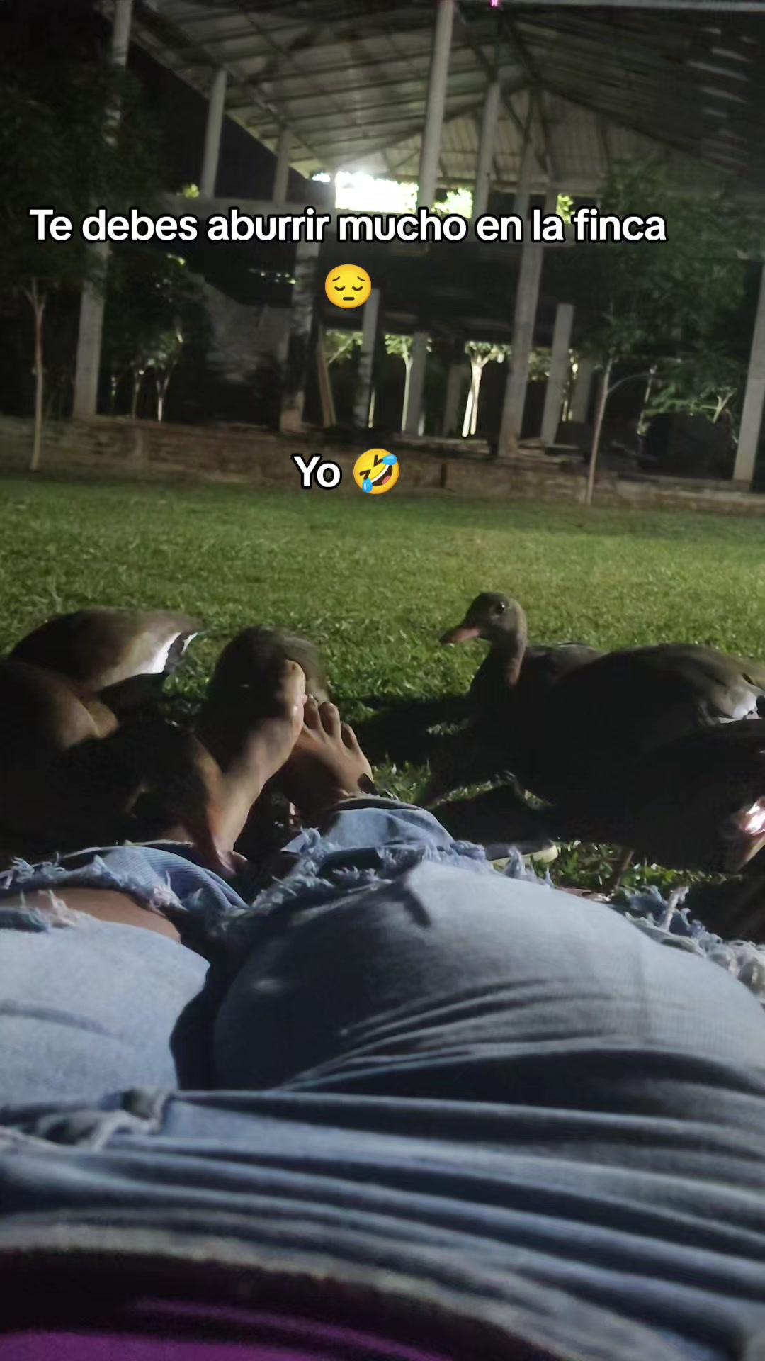 @Marisol 🧠🔱🇨🇴