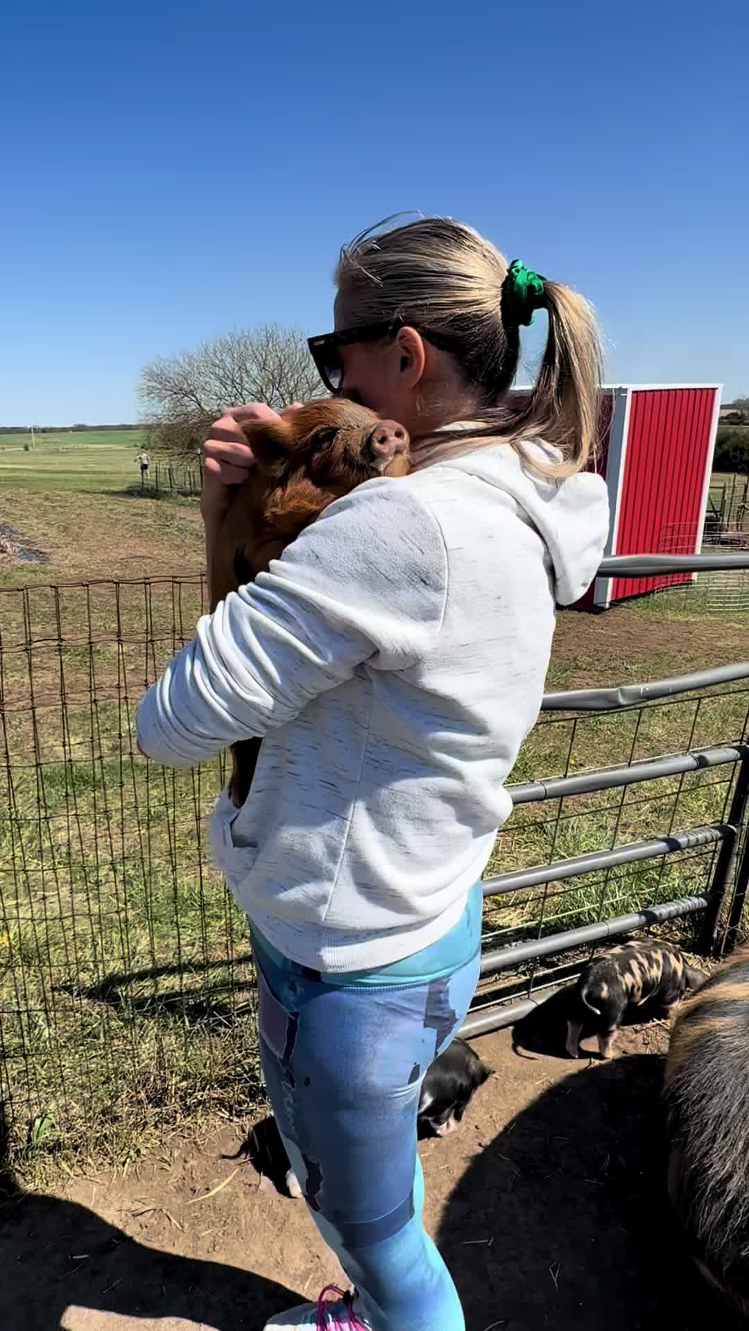 @prairiepiglets