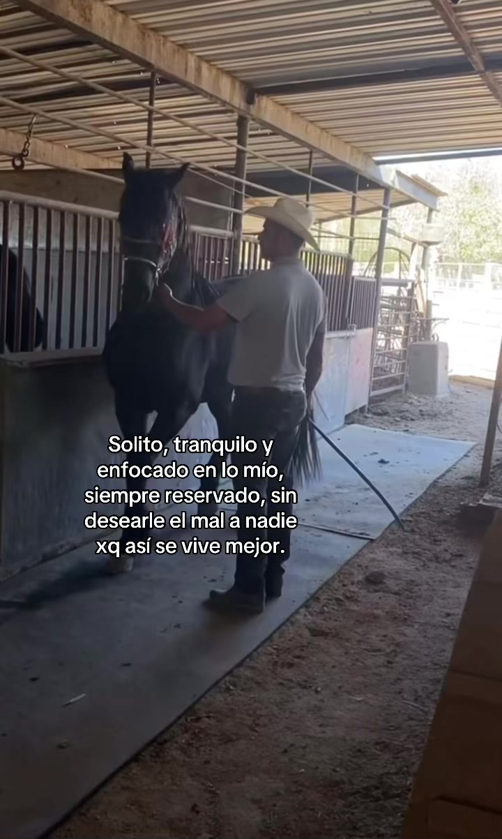 @el_r_083