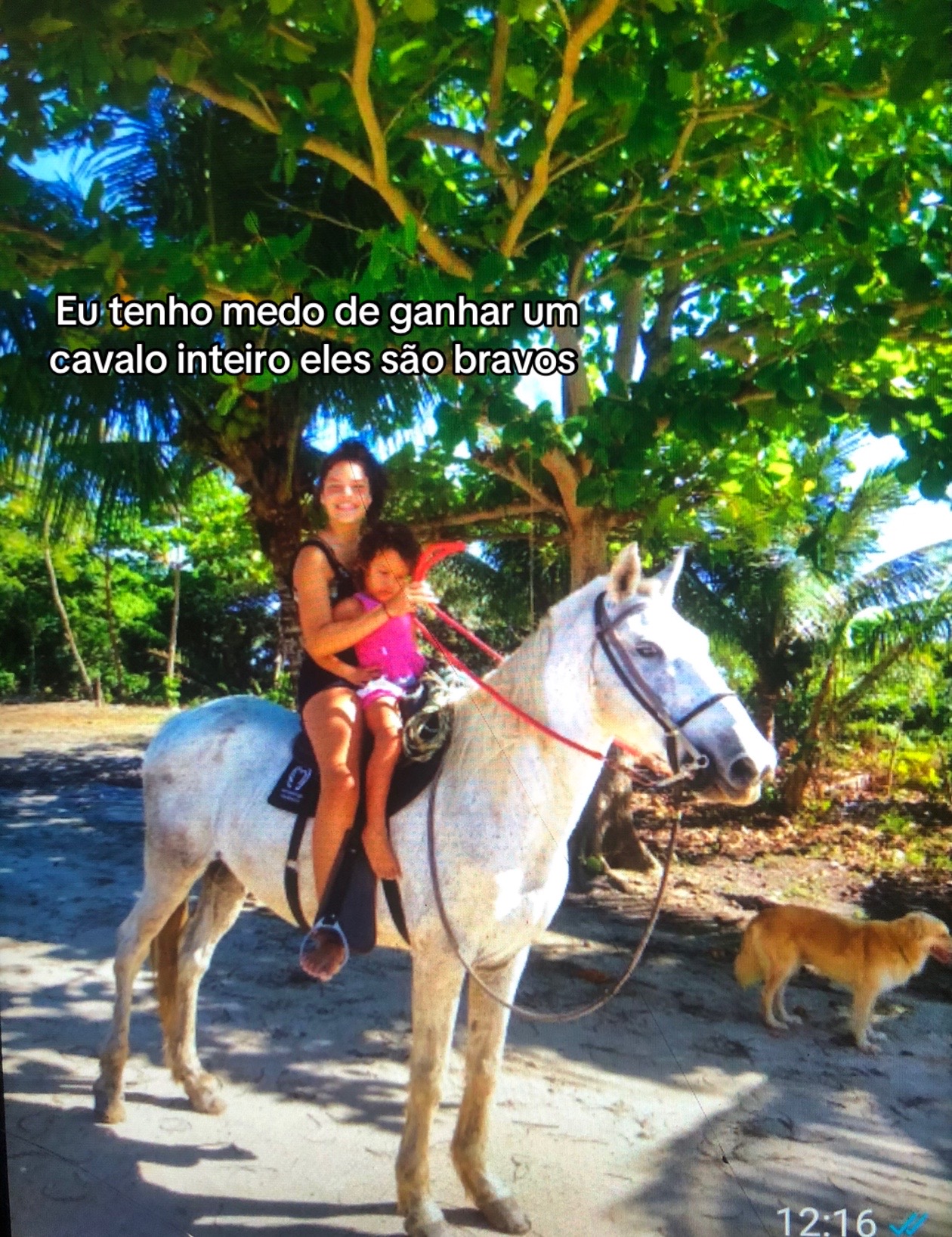 @Pᥱ́r᥆ᥣᥲ ᥱ ᥴᥲ&rho;&iota;tᥲ̃᥆