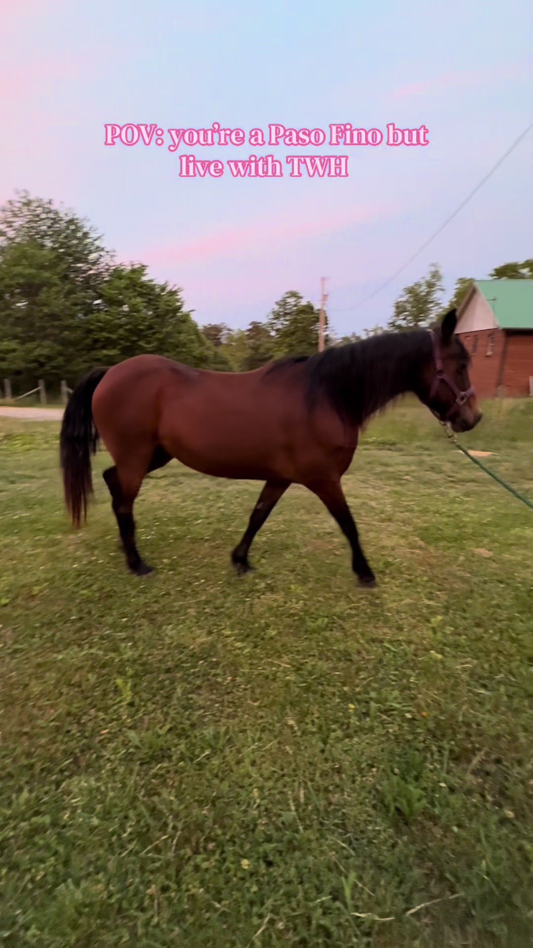 @EightyDollarStables