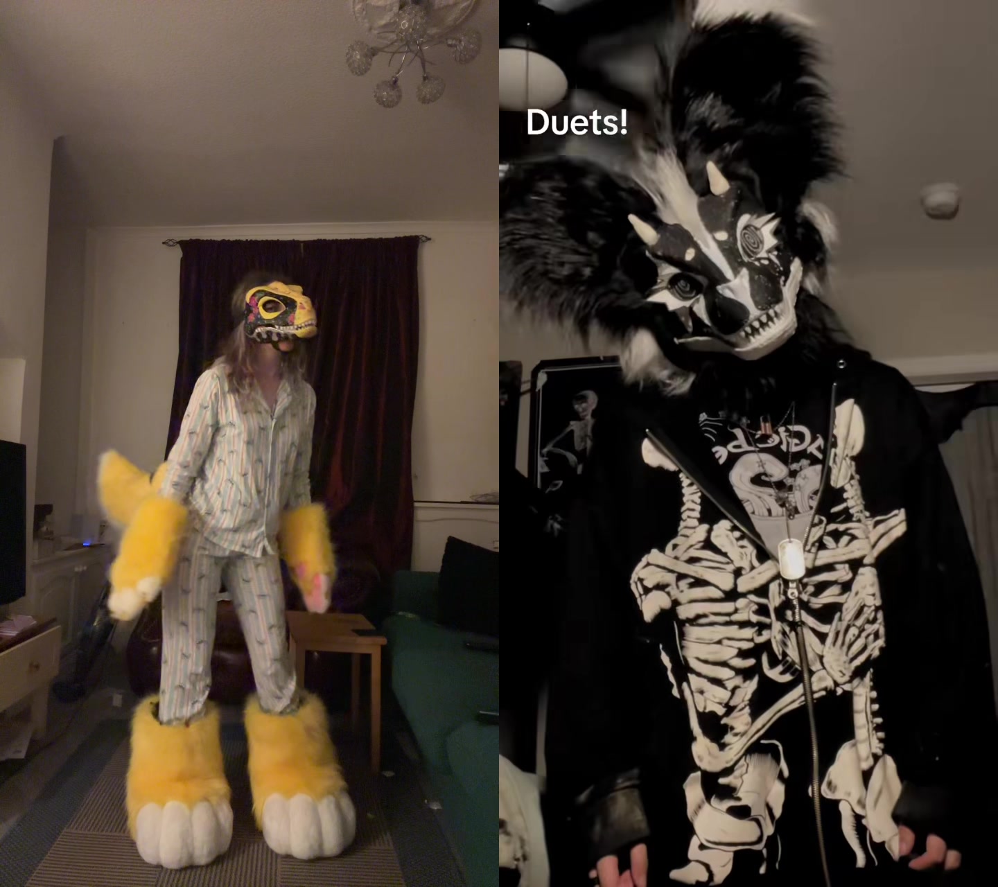 @Cola_the_angeldragon 🔜 CFZ26