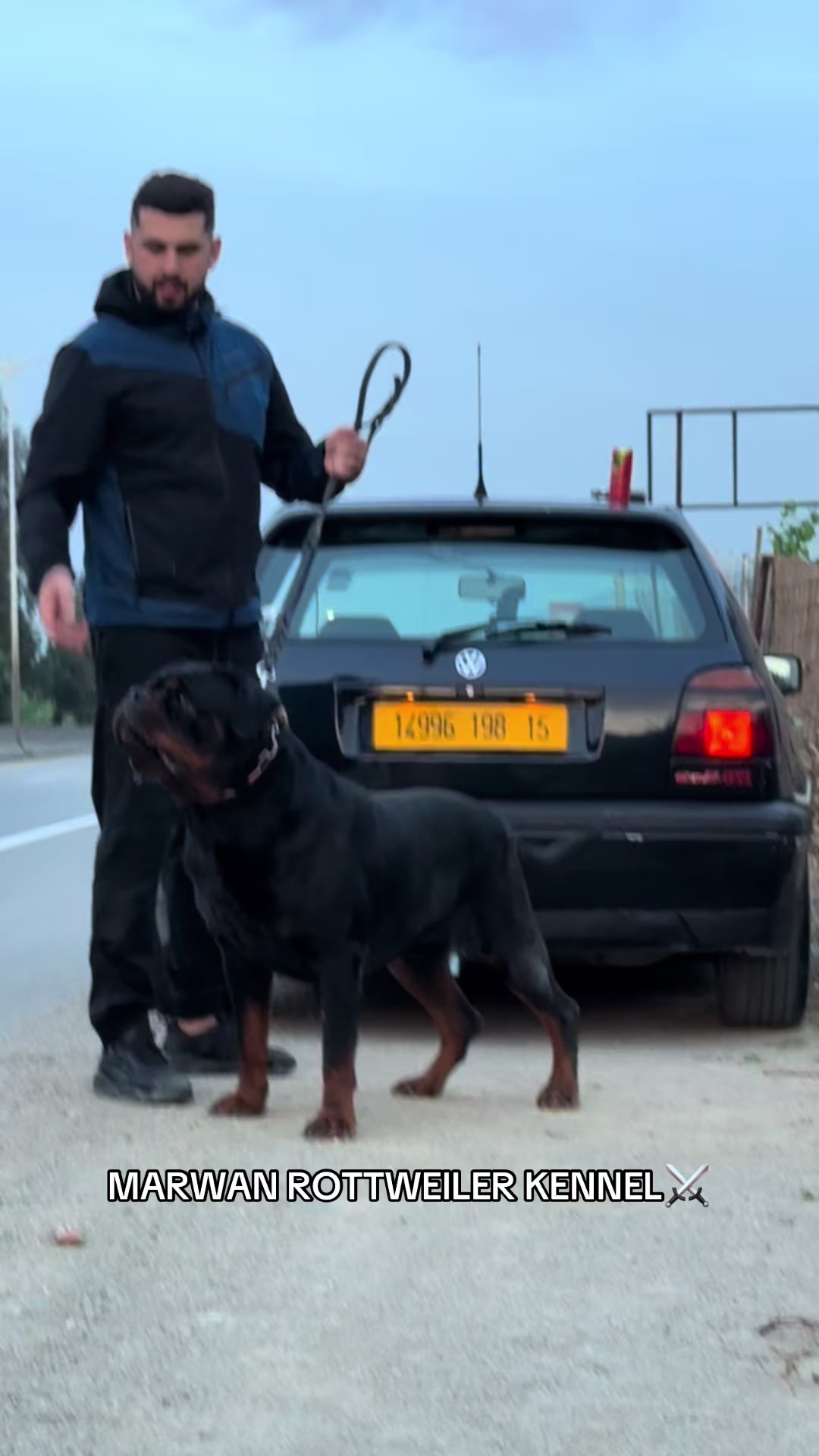 @Marwan Rottweiler-ke