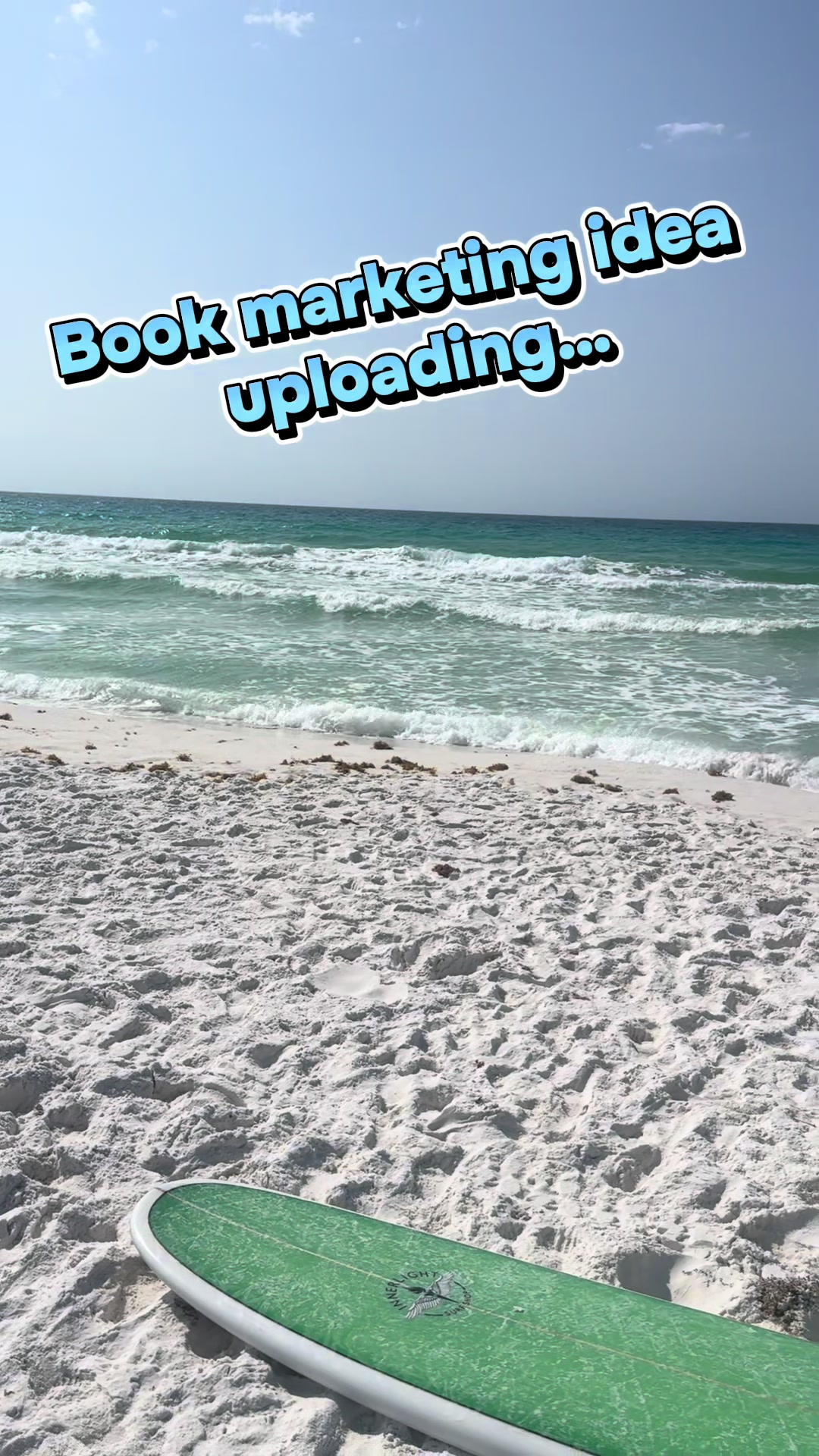 @smbirdwell_YA_author