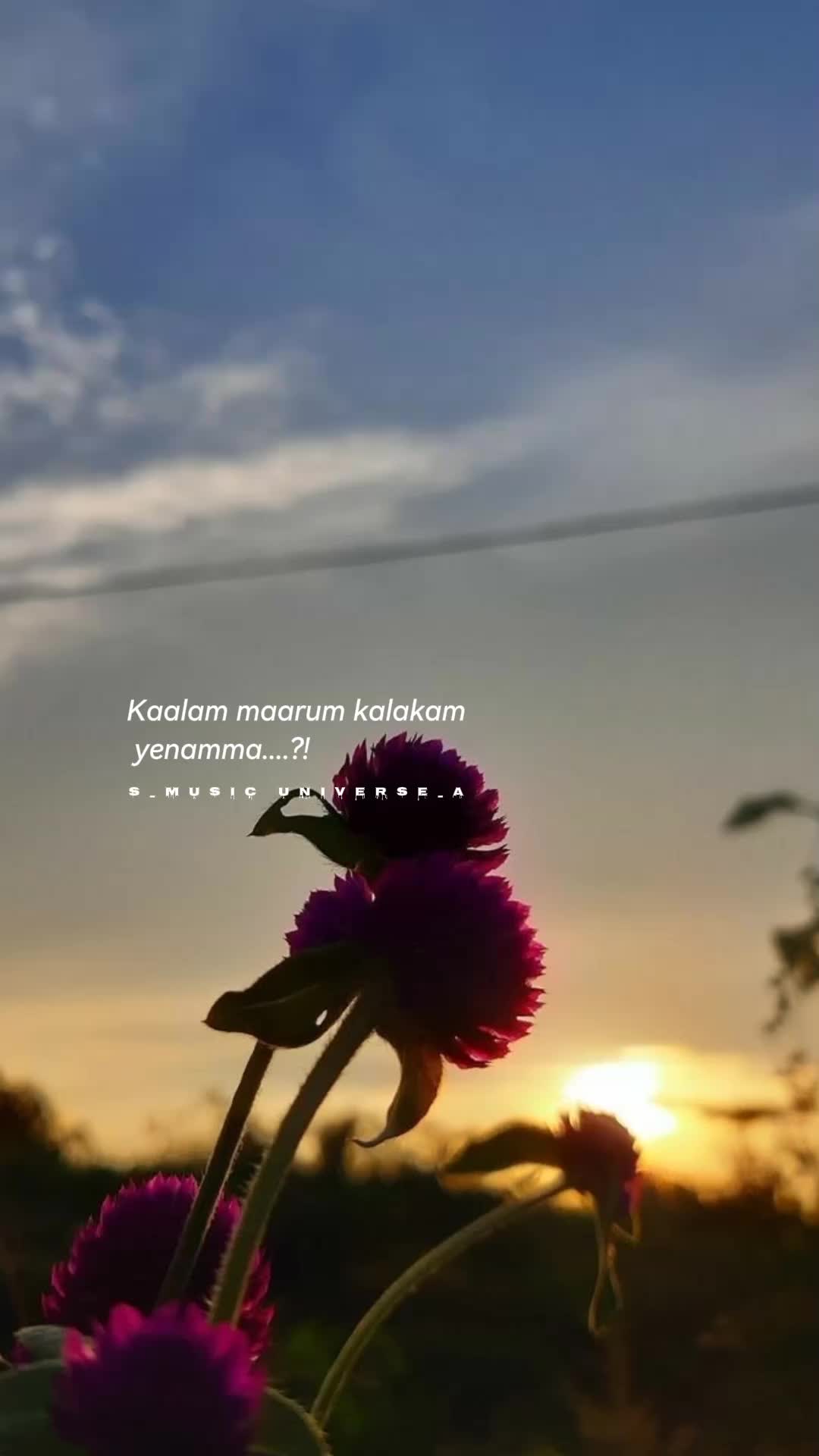 @&hearts;𝙈𝙐𝙎𝙄𝘾 𝙐𝙉𝙄𝙑𝙀𝙍𝙎𝙀&hearts;