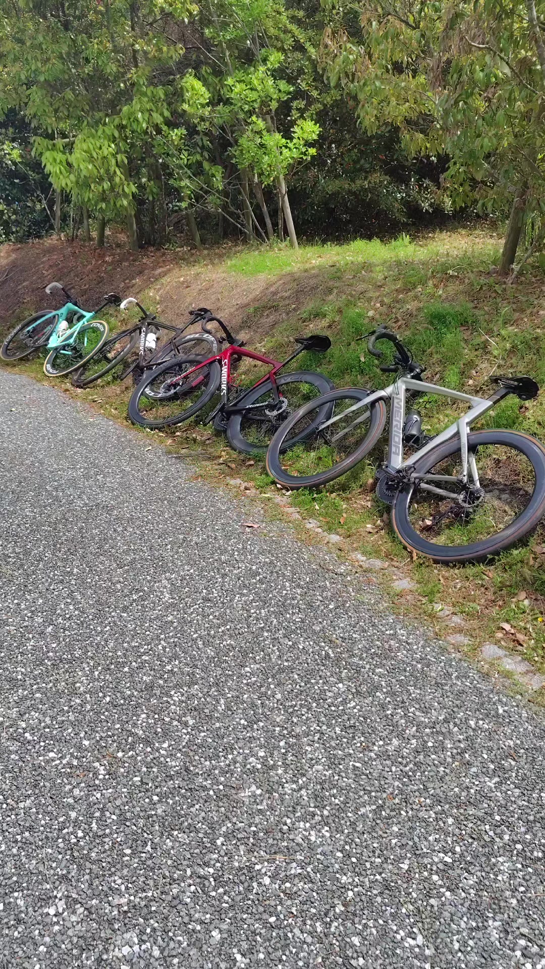 @ロードバイク乗りのれんちゃ！
