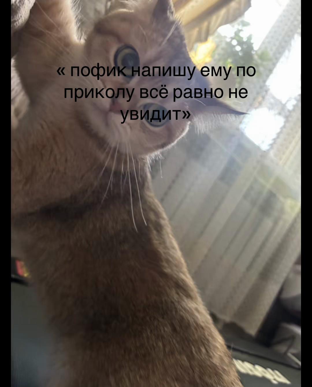 @Леонора😼😻
