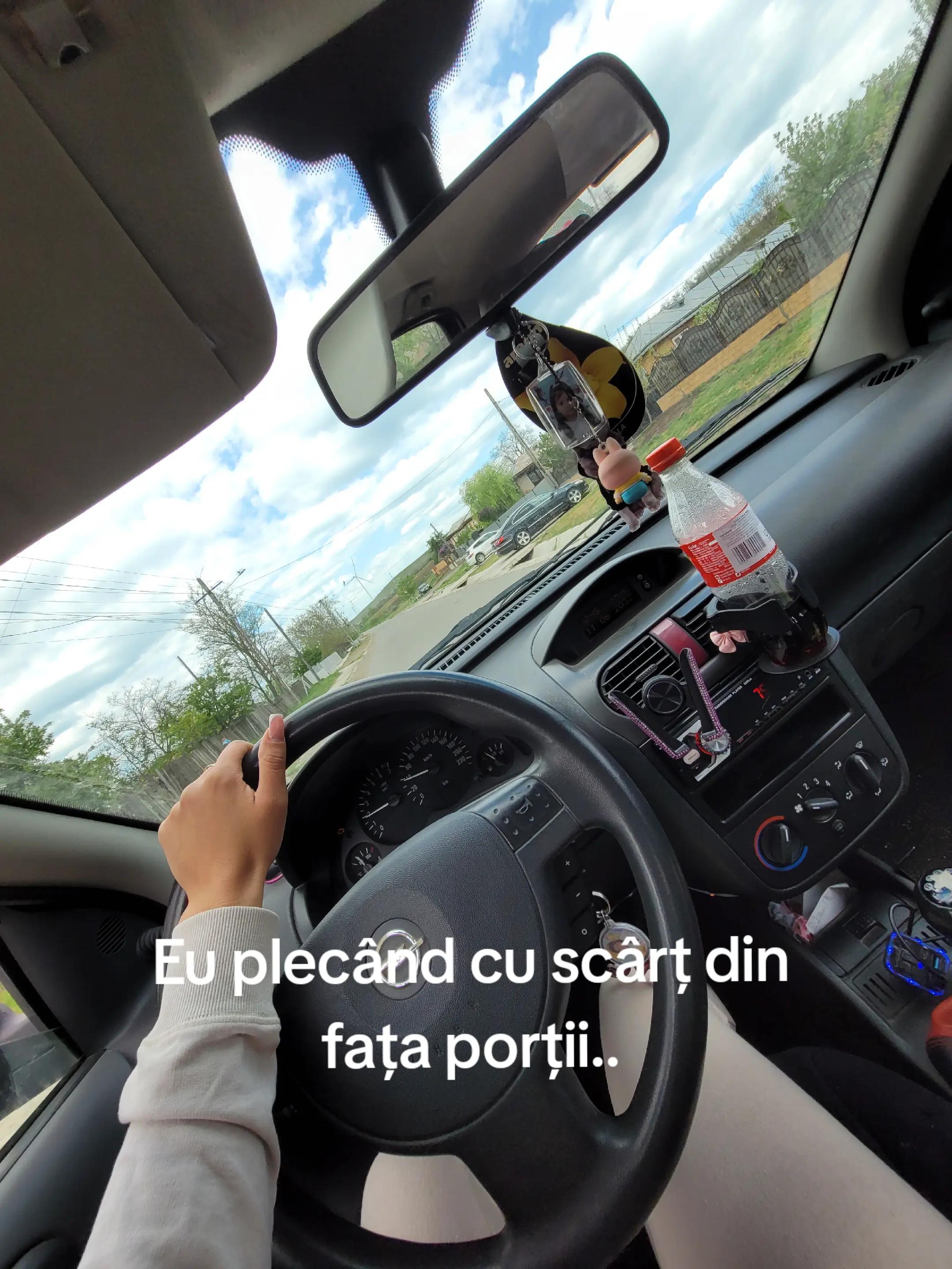 @Mariana Teodorascu