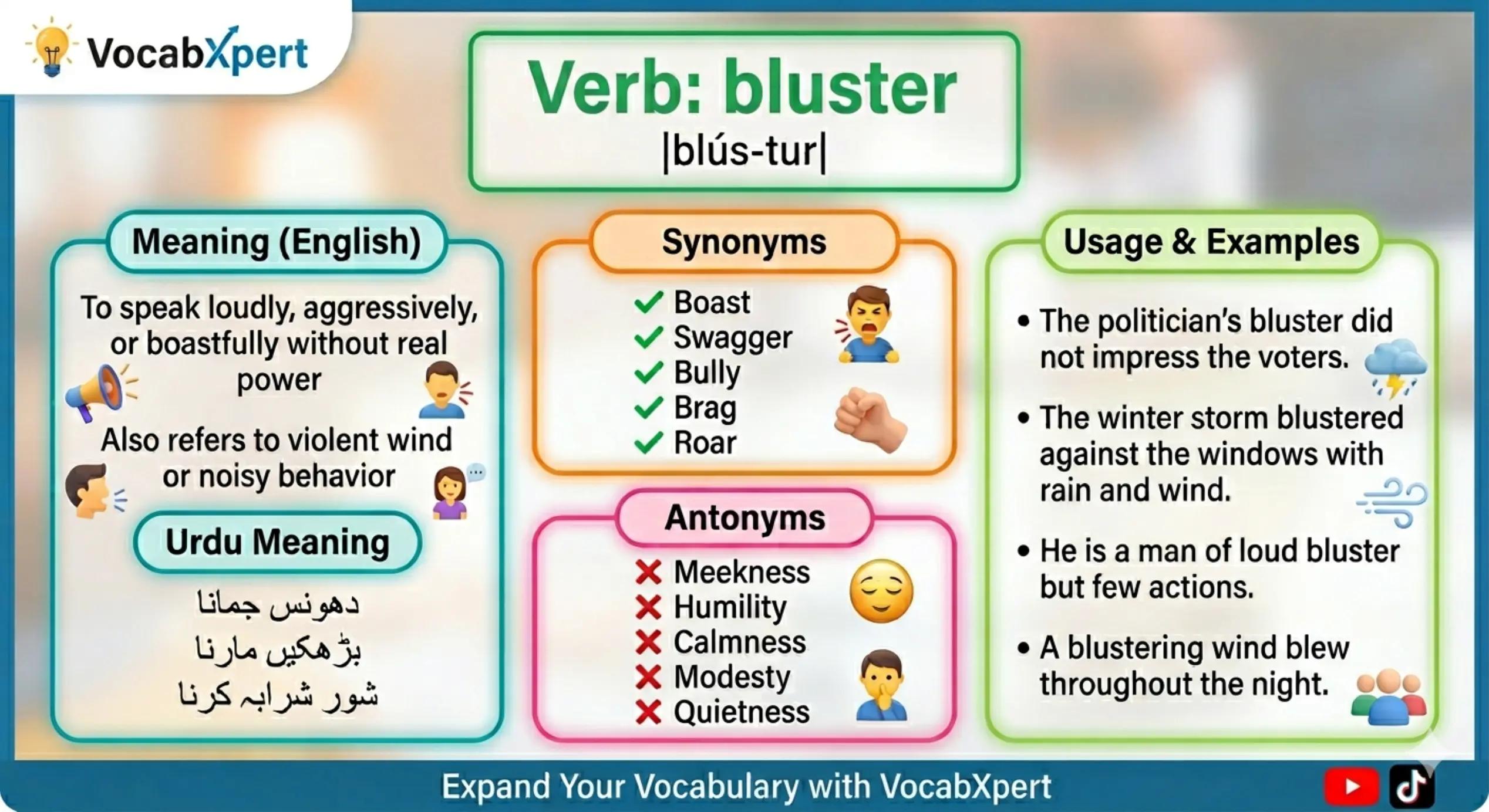 @VocabXpert