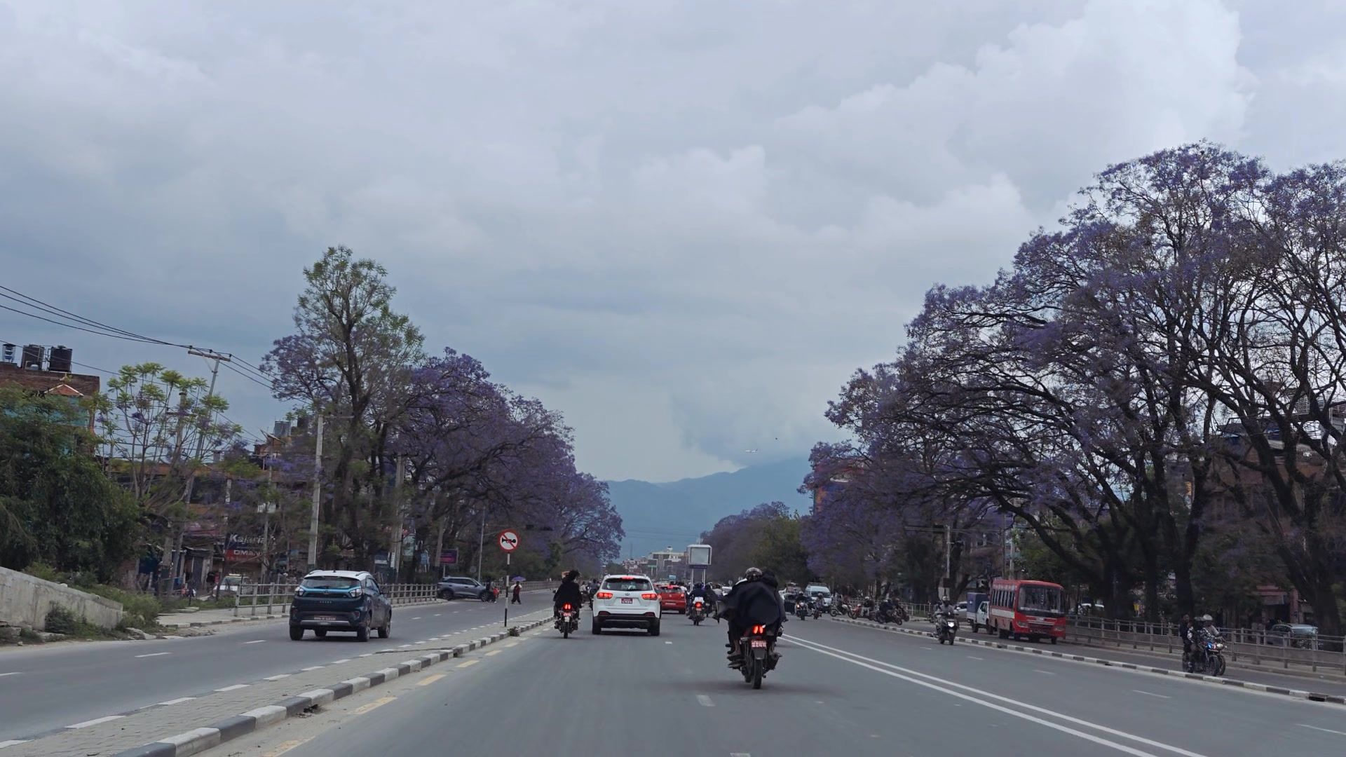 @P TULADHAR