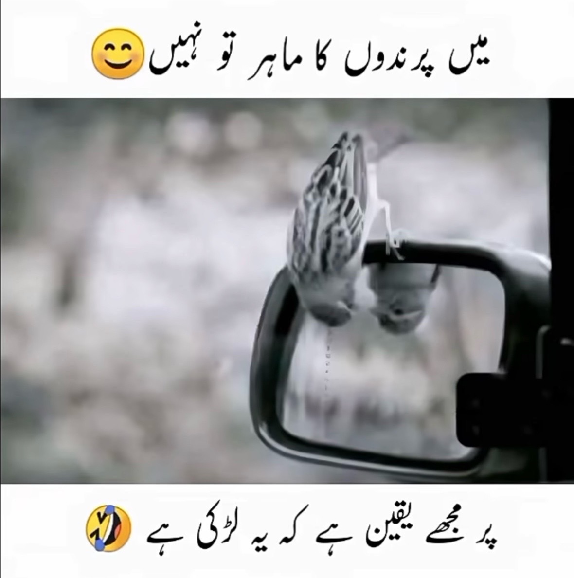 @Princess Meena