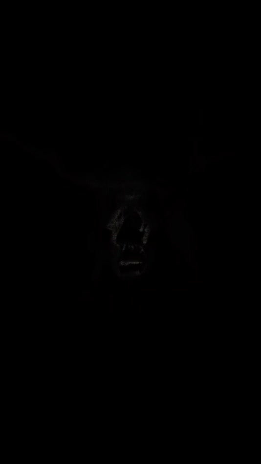 @.. ...- . / .-- .- .. - . -..