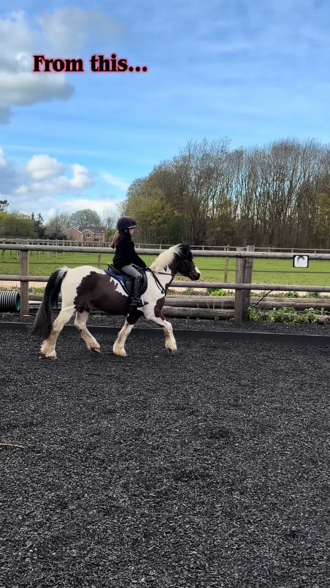 @Nina’s Pony Adventures ❤️