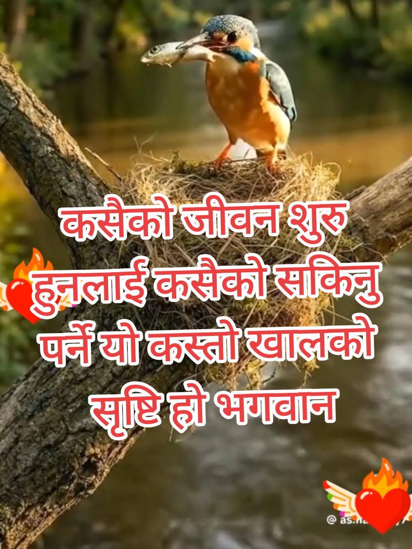 @Robbinsh...