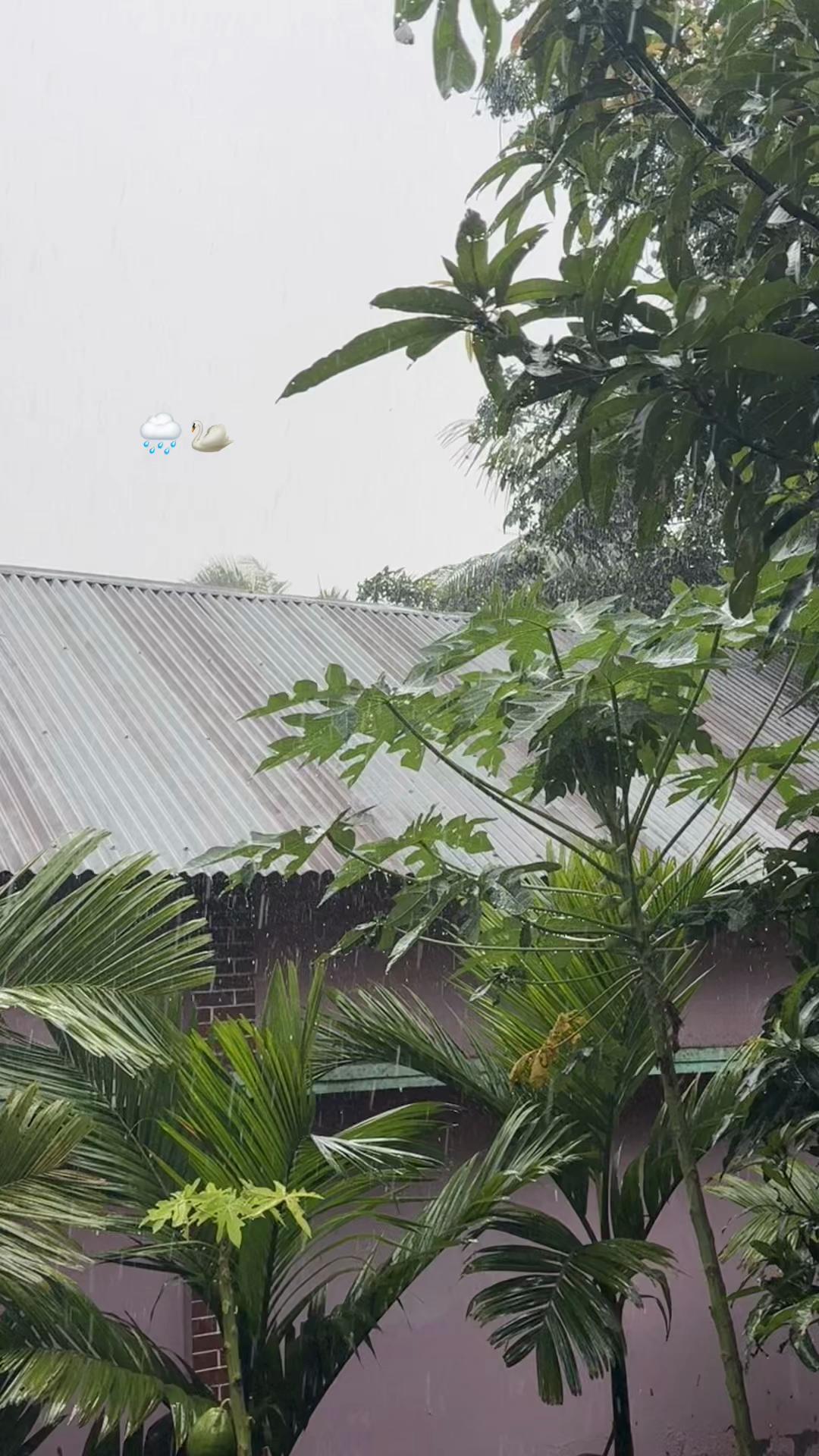 @✨_Sunshine_Roju_🧚&zwj;♀️