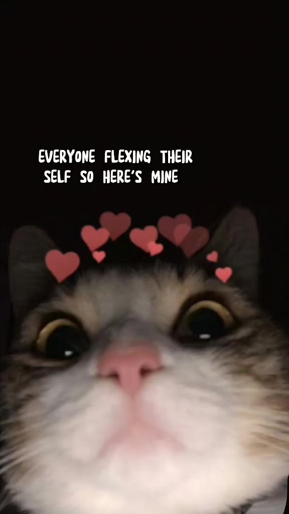 @🖤