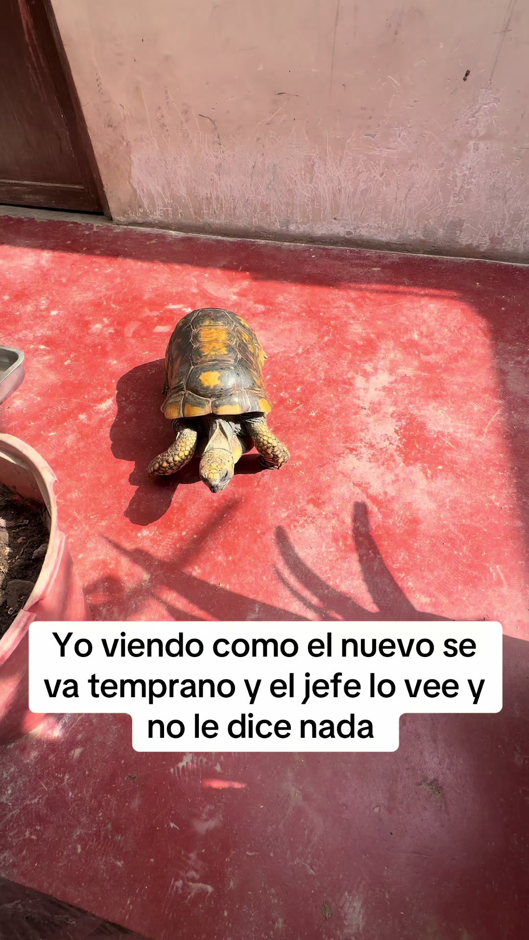 @Juli
