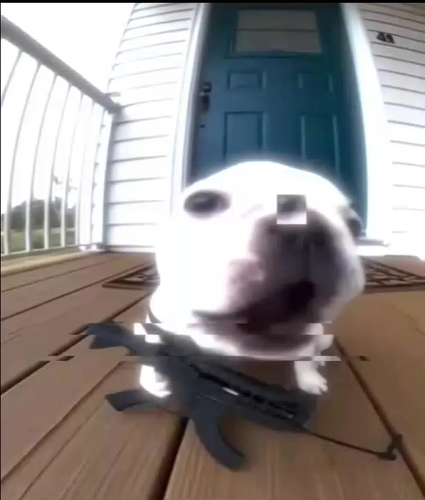 @★𝓐𝓵𝓮𝔁𝓲𝓼★