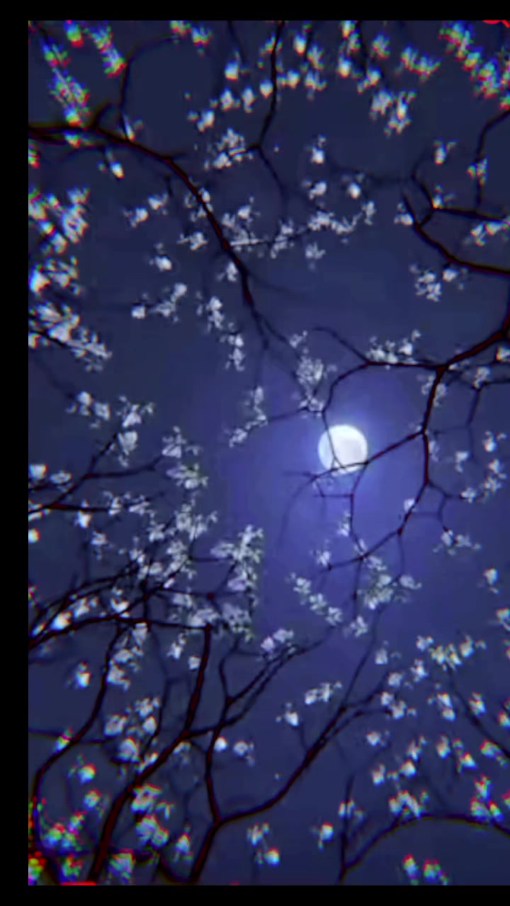 @"★VISPE★"FF&deg;