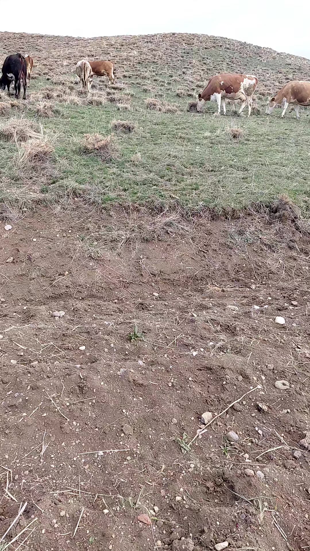 @Menderes G&uuml;ll&uuml;