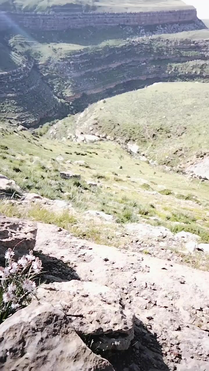@جمال بالعباسي