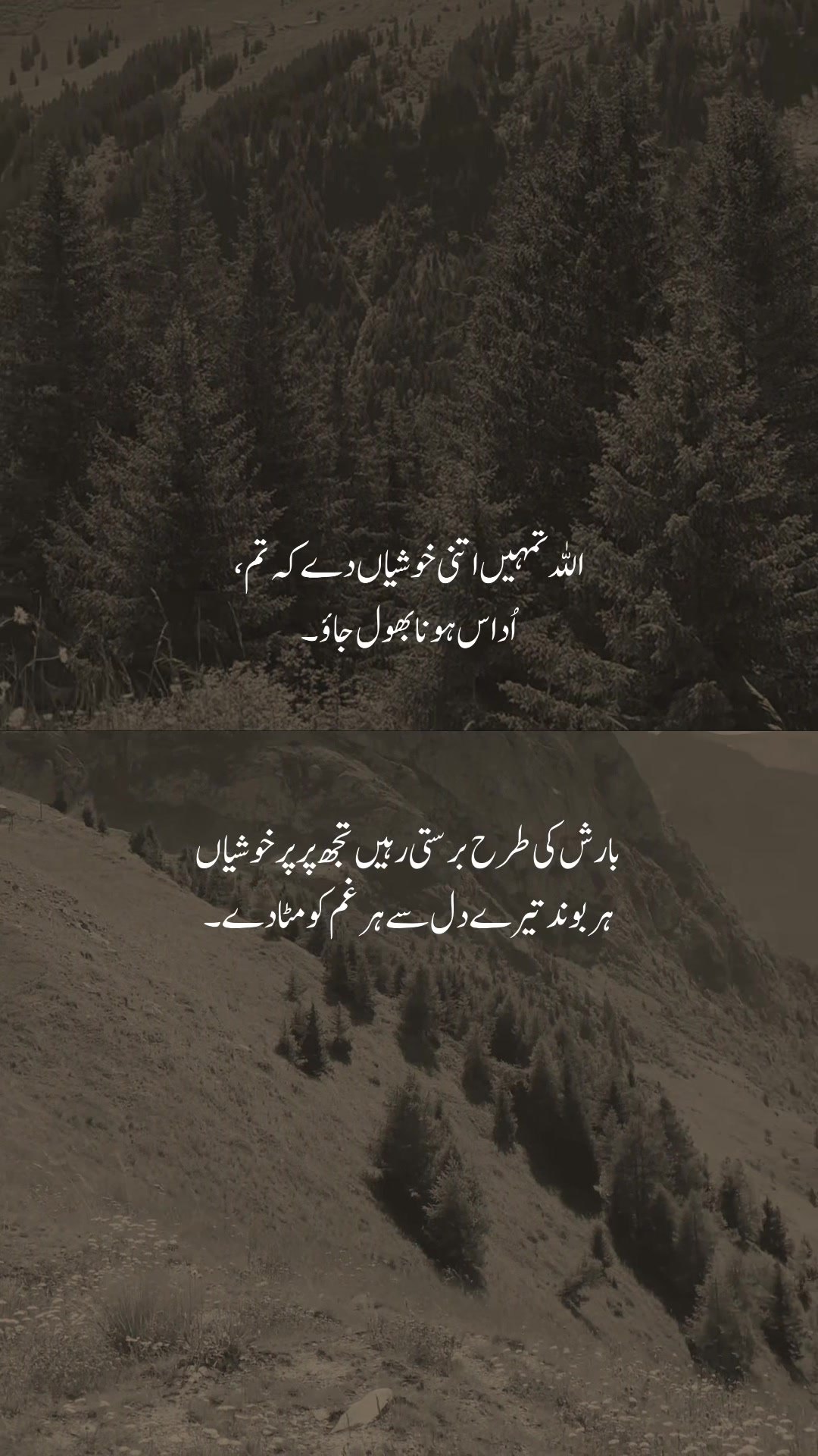 @𝐒𝐡𝐞𝐫𝐚𝐳🚩