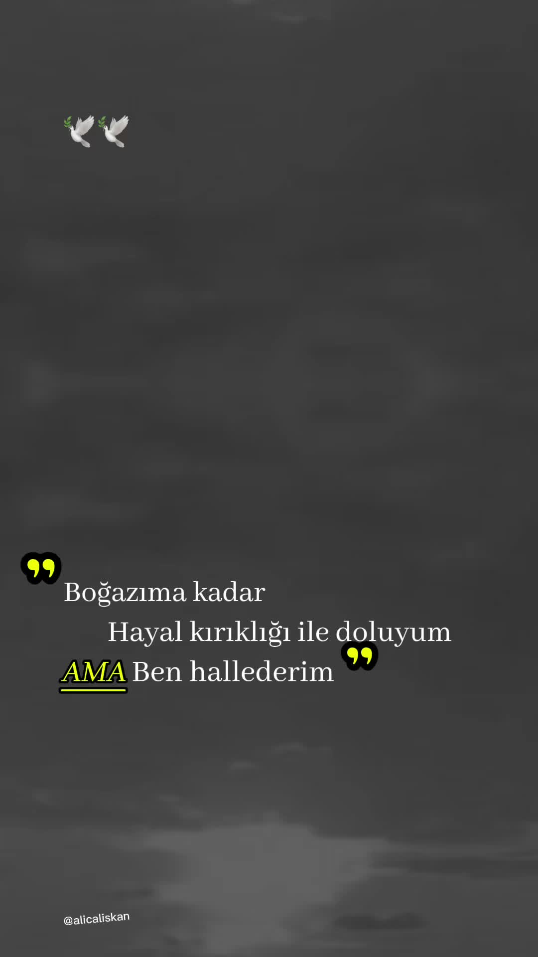 @O bir Adanali❤️01